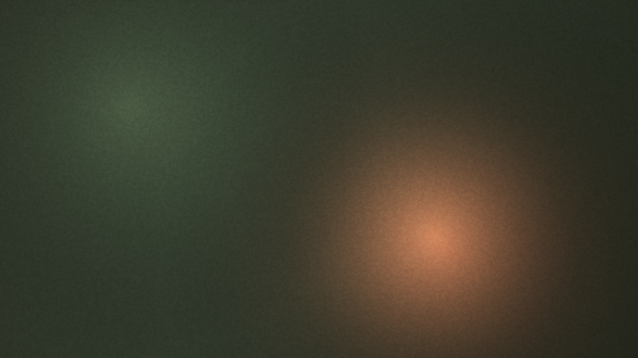 2025 — film still from the BBQ